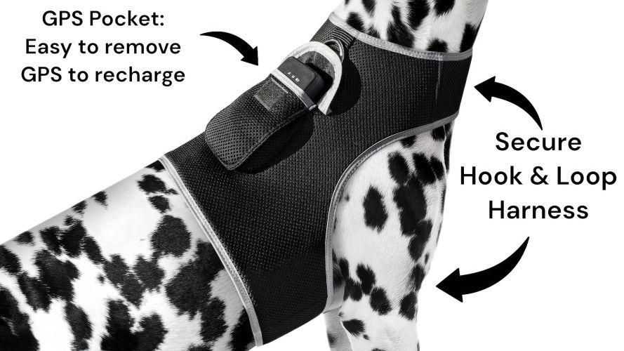 Waterproof GSM GPS Tracking Dog Collar Device w/ Rechargeable Battery Size:XS