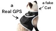 Waterproof Small Dog GPS Tracker Rechargeable Wireless Tracking Tools Size:XS