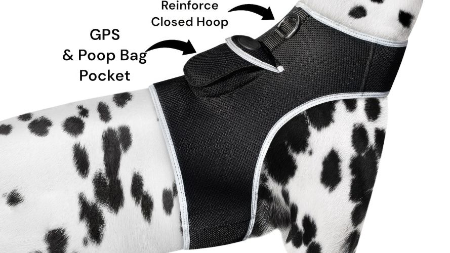 Waterproof Pocket Tracking Collar GPS Device for Realtime Pet Security Size:XS