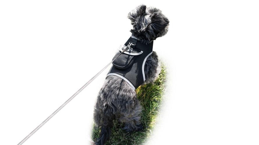 USB Rechargeable GPS Mini Pet Tracker Waterproof Realtime Surveillance Size:XS