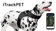 Waterproof Pet Locating Device GSM GPS Dog Cat Collar Tracking Device Size:XS
