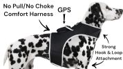 Waterproof Small Dog GPS Tracker Rechargeable Wireless Tracking Tools Size:XS