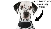 Waterproof Pet Locating Device GSM GPS Dog Cat Collar Tracking Device Size:XS