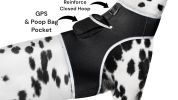 Waterproof Mini Pet Tracker GSM GPRS Collar Tracking Sys w/ Geo-Fence Size:XS
