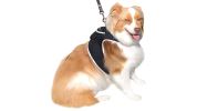 Waterproof Small Dog GPS Tracker Rechargeable Wireless Tracking Tools Size:XS