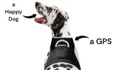 Waterproof Mobile Phone Pet Tracking System Realtime GPS Locator + App Size:XS