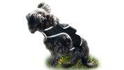 Waterproof Pet Locating Device GSM GPS Dog Cat Collar Tracking Device Size:XS