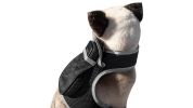 Waterproof Collar Pet Tracker Realtime GSM GPRS Tracking + Buckle Clip Size:XS