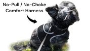Realtime GPS Track Pet Droid Location Tracking App Compatible Tracker Size:XS